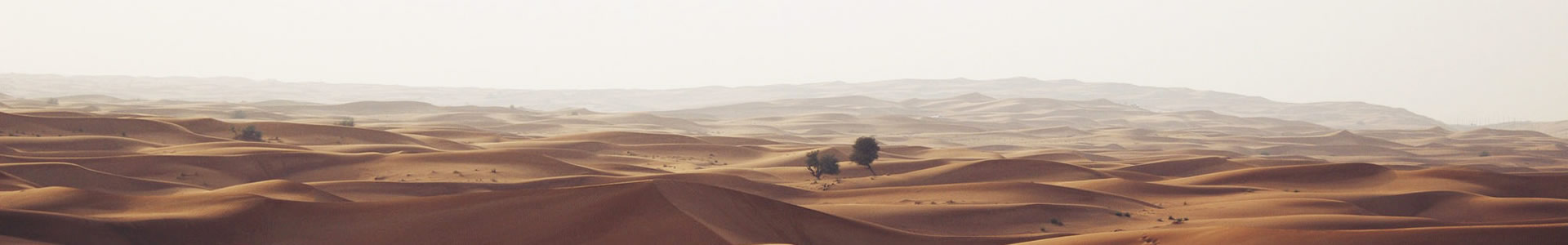 ĺ޹˾